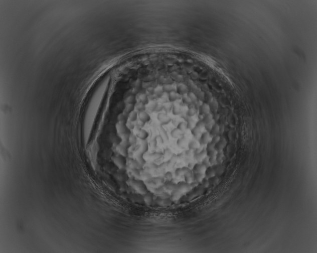 X0000090711221200708031426