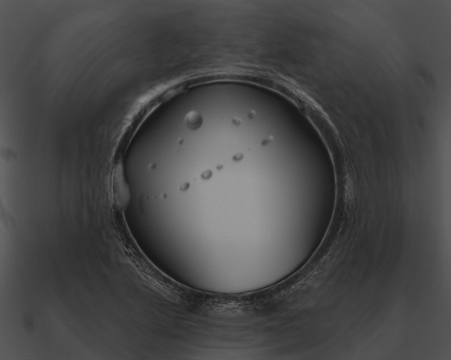 X0000090711222200708031426