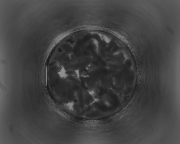 X0000090711223200708031426