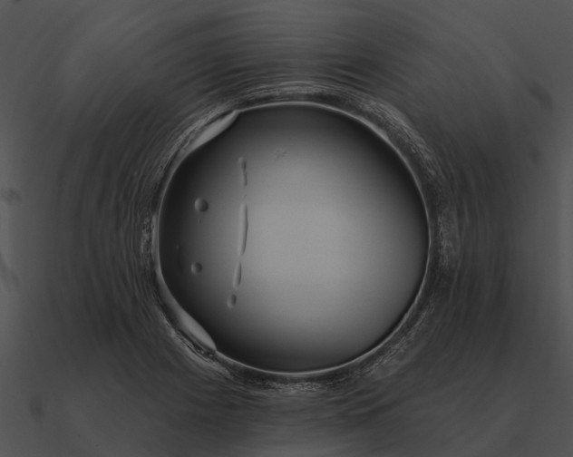 X0000090711225200708031426