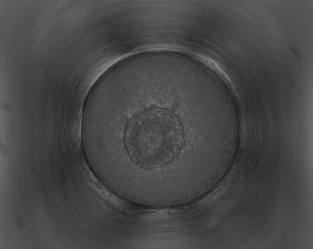 X0000090711228200708031427