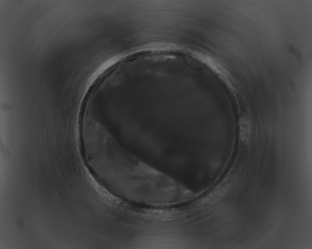 X0000090711229200708031427