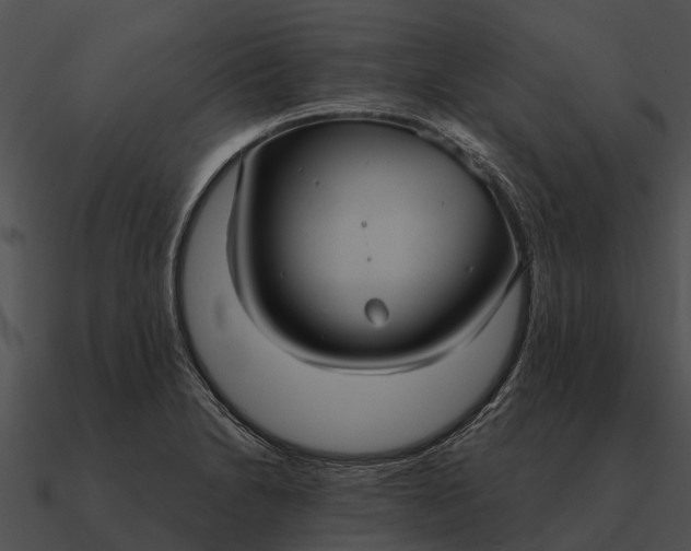 X0000090711230200708031427