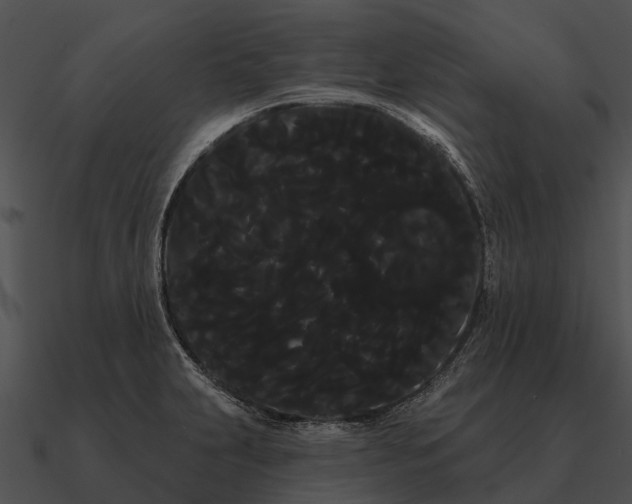 X0000090711231200708031427