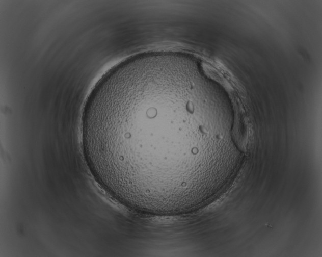 X0000090711232200708031427