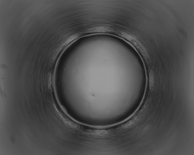 X0000090711233200708031427