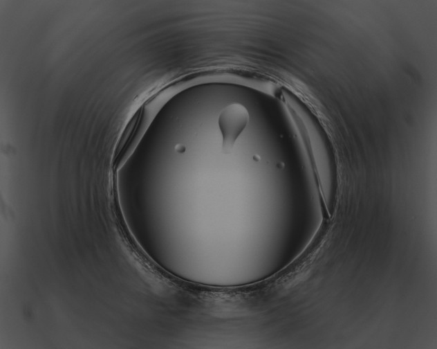 X0000090711234200708031427