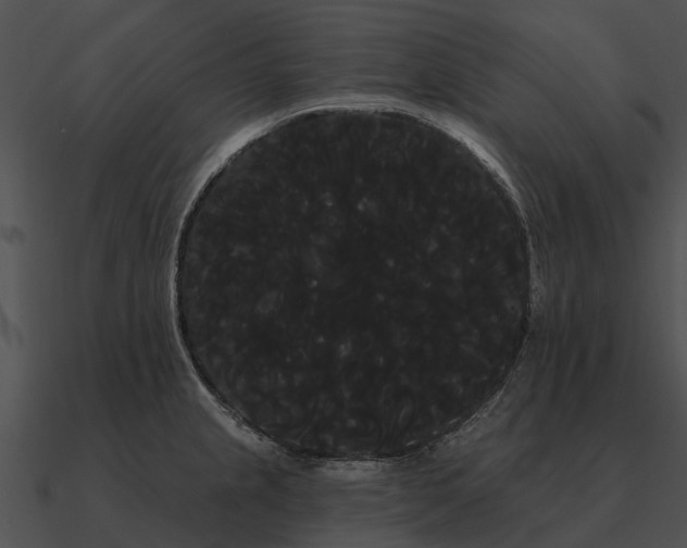 X0000090711237200708031427