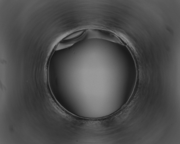 X0000090711238200708031427