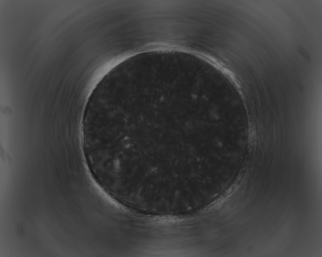 X0000090711239200708031427