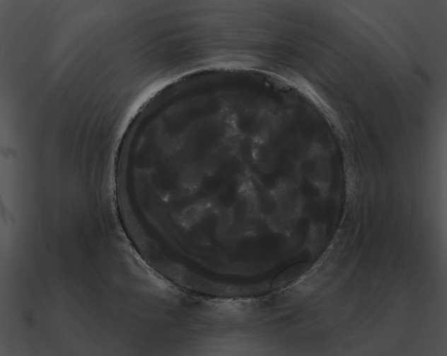 X0000090711240200708031427