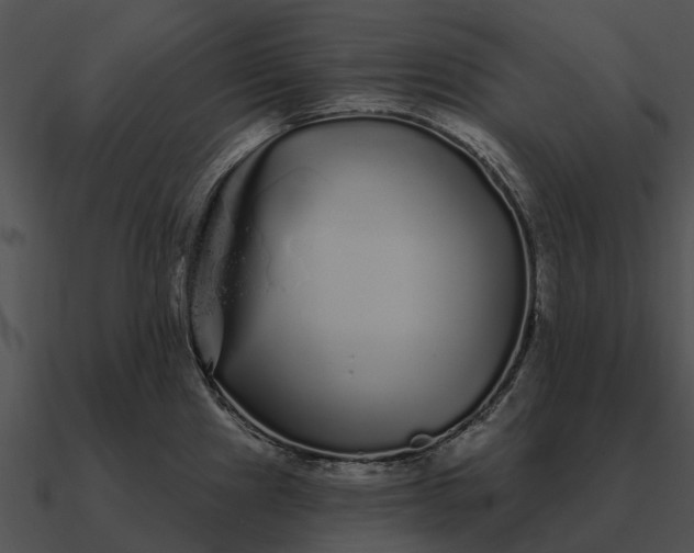 X0000090711241200708031427