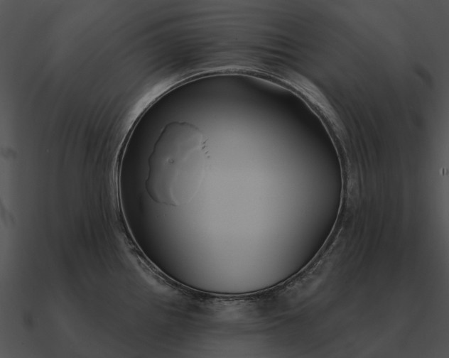 X0000090711242200708031427