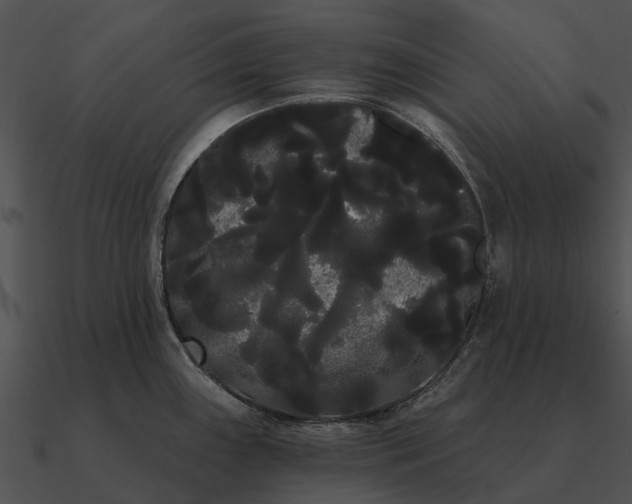 X0000090711243200708031427