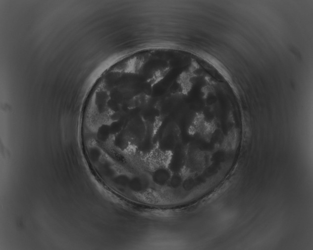 X0000090711245200708031427