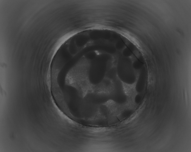 X0000090711247200708031427