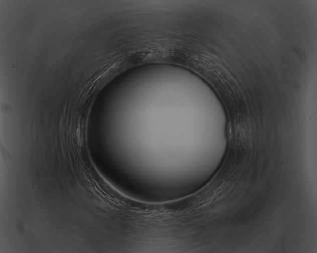 X0000090711250200708031426