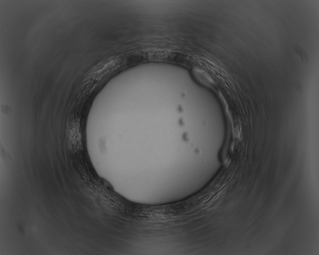 X0000090711252200708031426