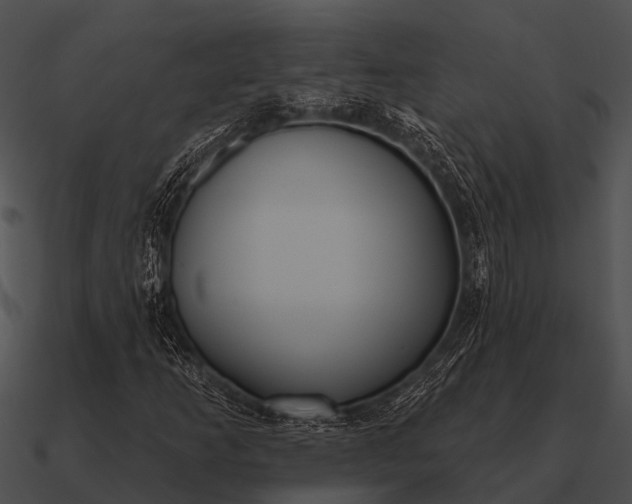 X0000090711253200708031426