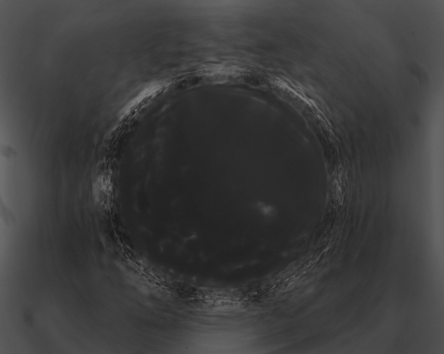 X0000090711254200708031426