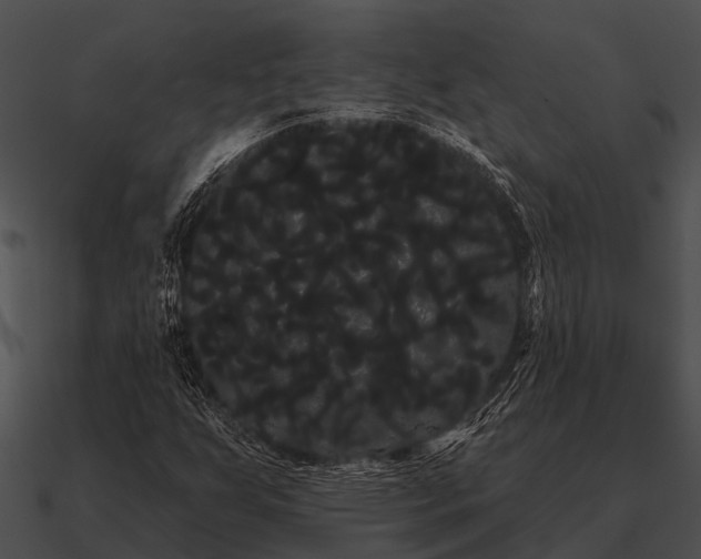 X0000090711255200708031426