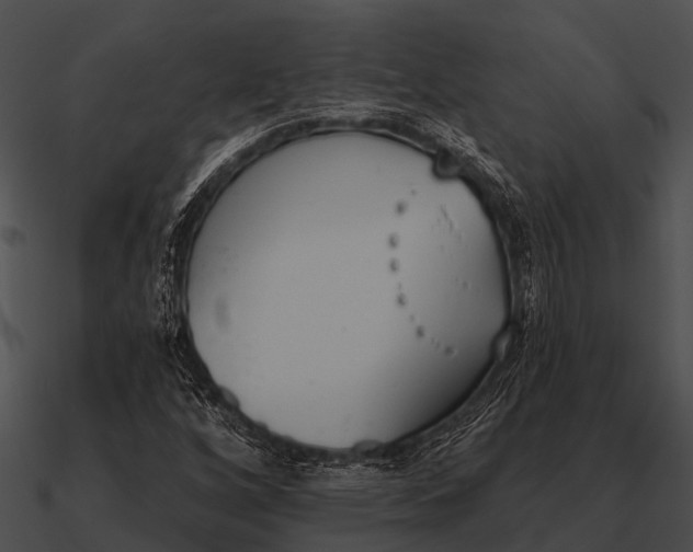 X0000090711256200708031426