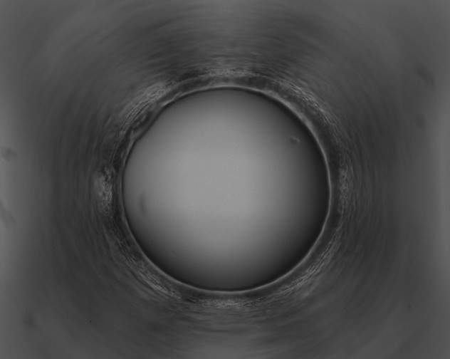 X0000090711257200708031426