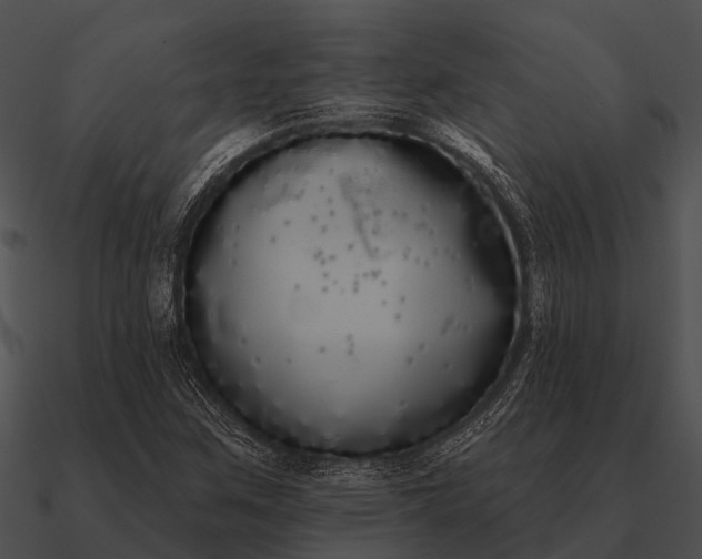 X0000090711259200708031426