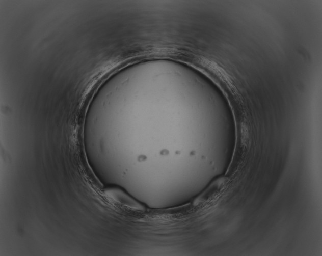 X0000090711260200708031426