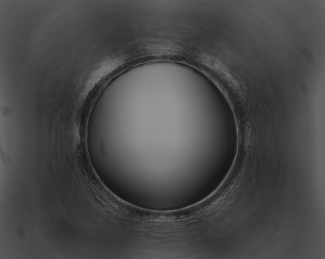 X0000090711261200708031426