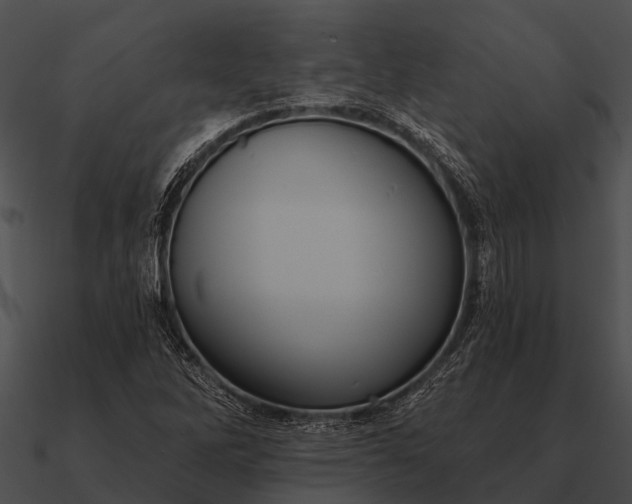 X0000090711262200708031426