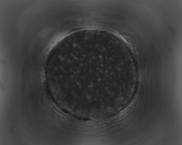 X0000090711263200708031426