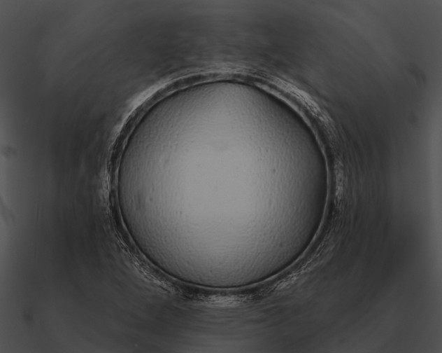 X0000090711264200708031426