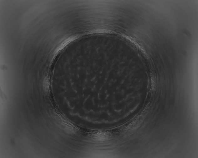 X0000090711266200708031426