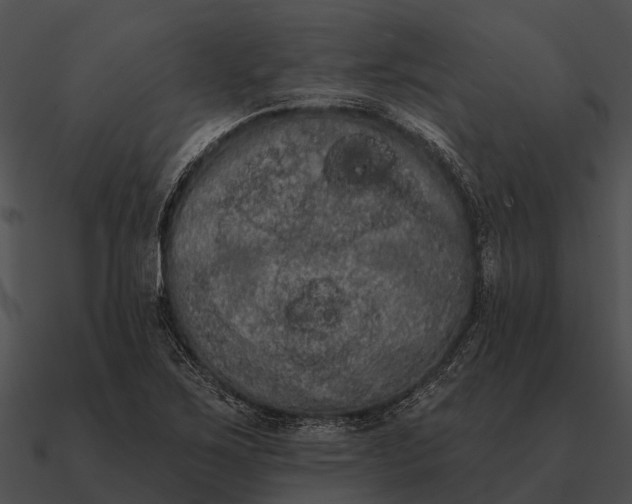 X0000090711267200708031426