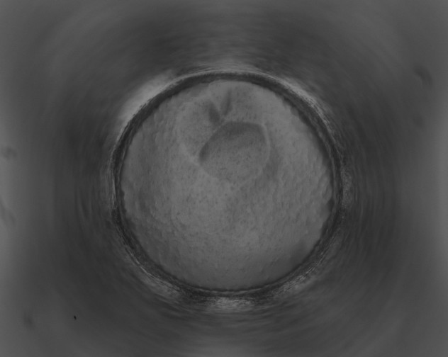 X0000090711271200708031426