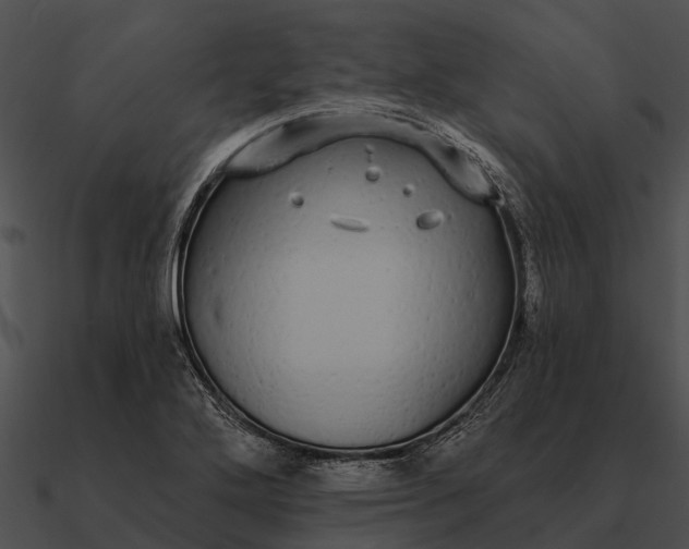 X0000090711272200708031426