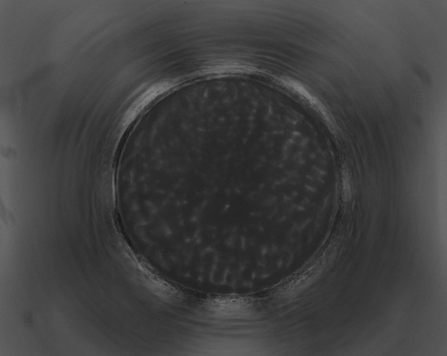 X0000090711274200708031426