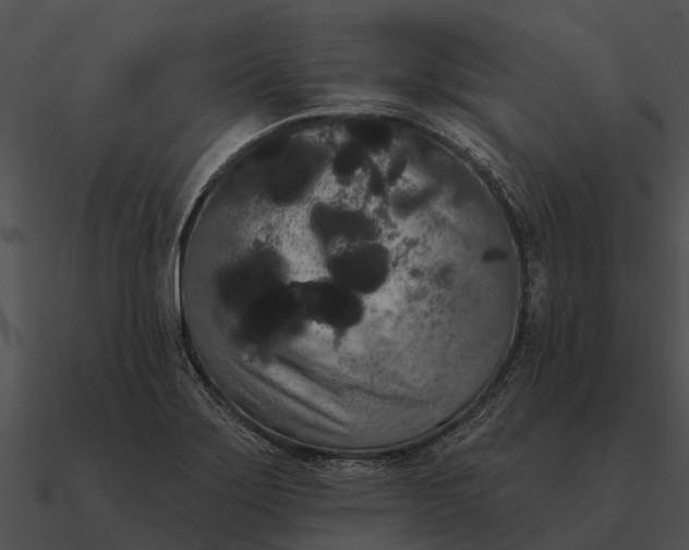 X0000090711275200708031426