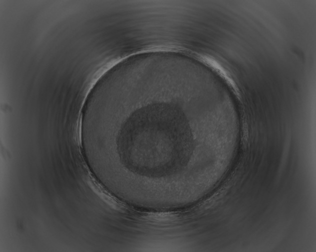 X0000090711276200708031426