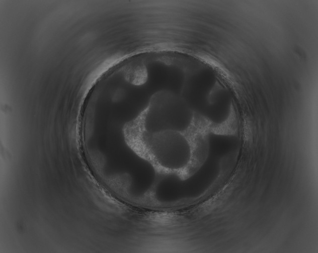 X0000090711278200708031426