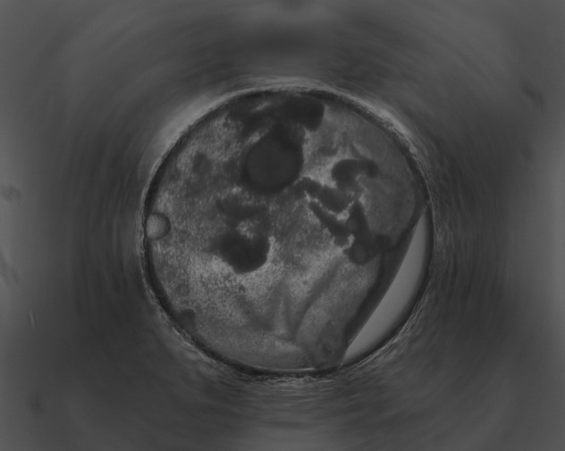 X0000090711279200708031426