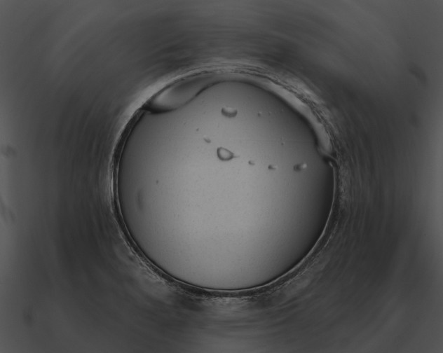 X0000090711280200708031426