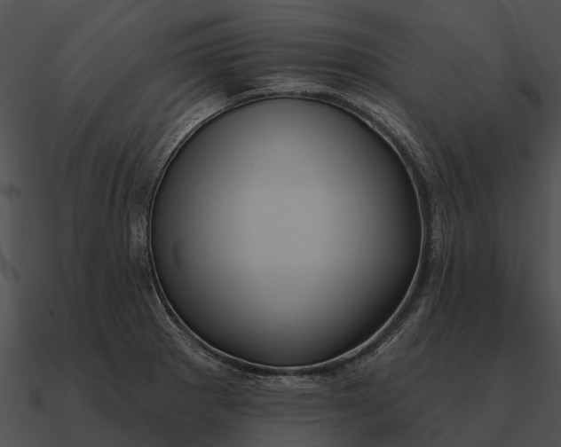 X0000090711281200708031426