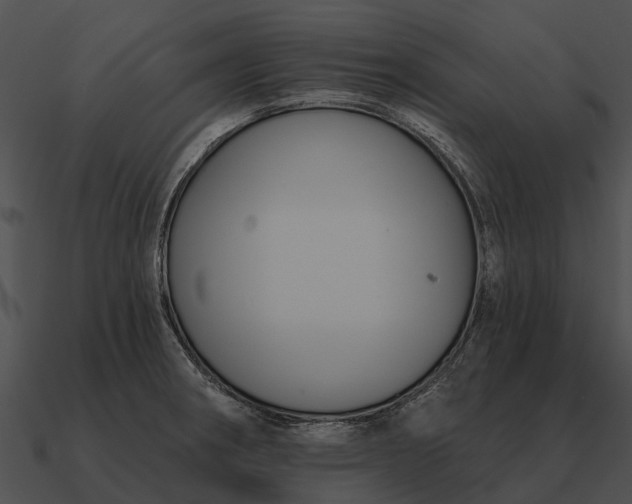 X0000090711282200708031426