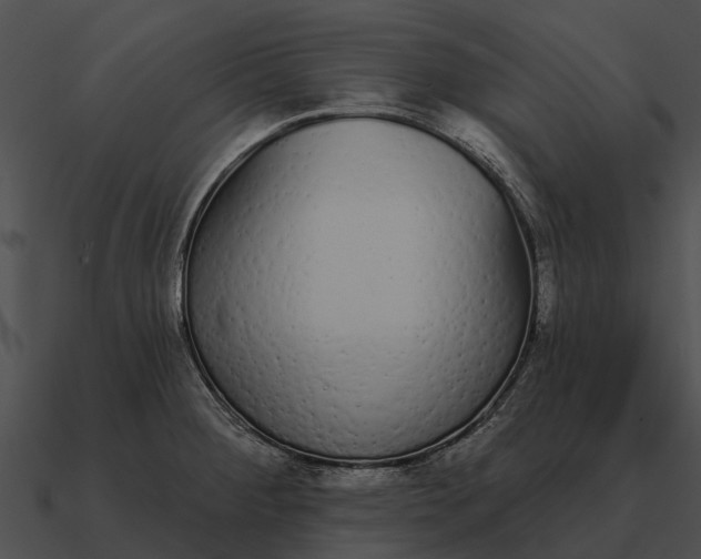 X0000090711284200708031426