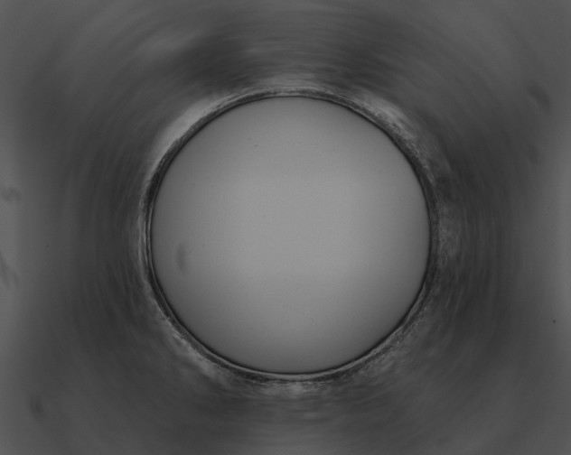 X0000090711286200708031426