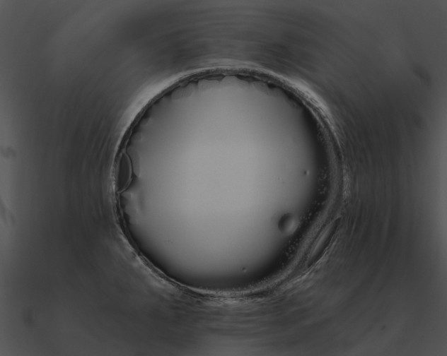 X0000090711287200708031426