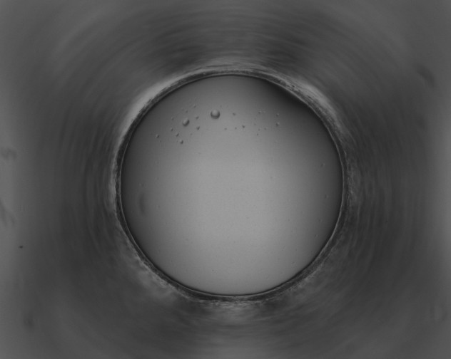 X0000090711288200708031426