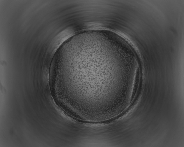 X0000090711289200708031426